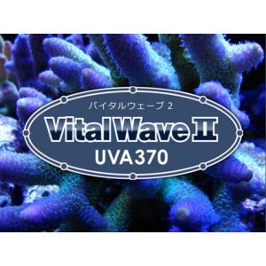 Blue Harbor　Vital Wave II ／ バイタルウェーブ2　UVA370