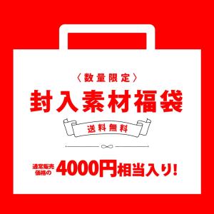 数量限定!! 封入素材福袋 レジン ネイル 手芸...の商品画像