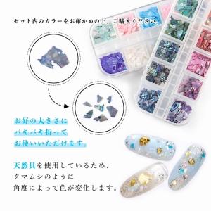 50%off シェルフレーク 12色セット ク...の詳細画像2