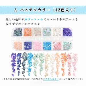 50%off シェルフレーク 12色セット ク...の詳細画像3