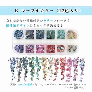 50%off シェルフレーク 12色セット ク...の詳細画像4