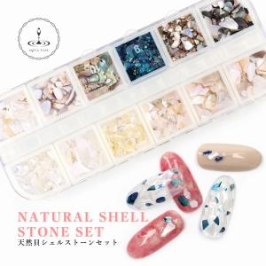 シェルストーン 12色セット クラッシュシェル シェルパーツ ジェルネイル デコ レジンクラフト｜aqua-nail