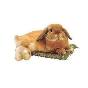 カワイ わらっこ倶楽部 うさぎの座ぶとん S