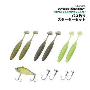 釣り具 ビックベイト ルアー S字系 ソフトテール ホロレインボー