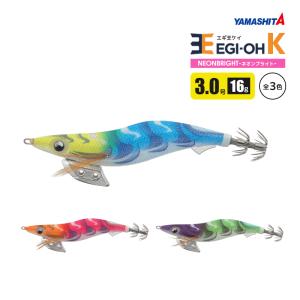 DAIWA（ダイワ） キャタリナ BJ エアポータブル 60LS-METAL スーパー