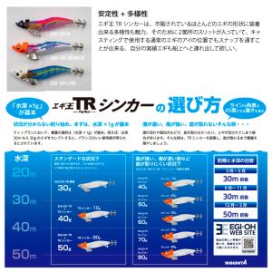 ヤマシタ エギ王 TRシンカー 10g 釣り ...の詳細画像2