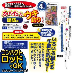 コンパクトロッドでOK かんたん 堤防用 ウキ...の詳細画像1