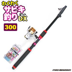 わくわくサビキセットDX 300 全長約3m 鉛負荷8〜25号 糸付リール付属 プロマリン