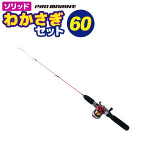 プロマリン（PRO MARINE） 釣り竿 ワカサギ竿 リールセット ソリッド