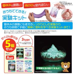 おうちでできる実験キット 5個セット 夏休み ...の詳細画像1