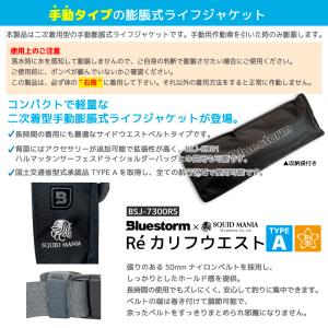【ポイント10倍】ライフジャケット 腰巻き 手...の詳細画像1