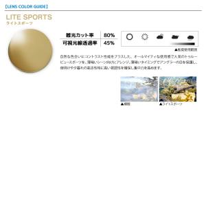 ダイワ 偏光サングラス 釣り メンズ UVカッ...の詳細画像3