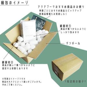 コムデギャルソン アメージングリーン オードパ...の詳細画像4