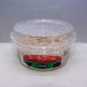 ミルワーム (kawai) 1パック(150匹...の詳細画像3