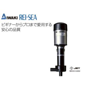 レイシー たて型ポンプ P-450V 揚水ポンプ　管理80