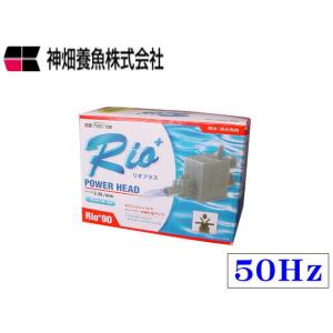 カミハタ Rio+3100 60Hz リオプラス 水中ポンプ 送料無料 管理60