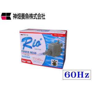 レッドシー ZOOX ファンタスティックウェーブ ZX8000 水流ポンプ DC