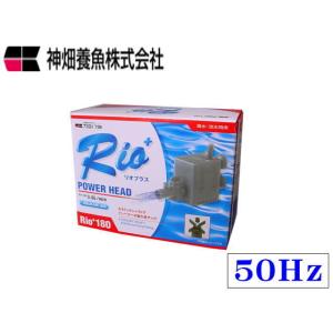 カミハタ Rio+180 50Hz リオプラス　水中ポンプ 送料無料 管理60