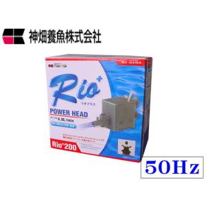 カミハタ Rio+200 50Hz リオプラス　水中ポンプ 送料無料 管理60