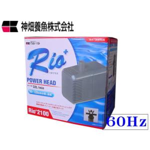 zoox ファンタスティックウェーブ ZX8000ウェーブポンプ　水流ポンプ plantstech / ZOOX ファンタスティック ウェーブ