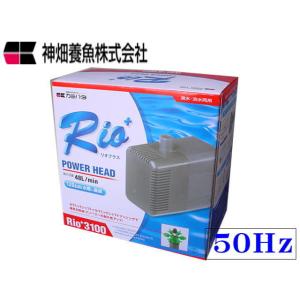 カミハタ 水中ポンプ カミハタ Rio+(リオプラス) 3100 カミハタ 水中ポンプ カミハタ Rio+(リオプラス) 3100