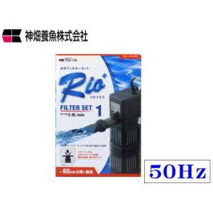 RMD-201 レイシー マグネットポンプ 循環ポンプ : アクアクラフト