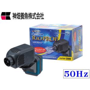 60Hz レイシー水陸両用ポンプ RSD-10A 流量10リットル/分 60Hz Amazon | レイシー 水陸両用ポンプ RSD-10A (60Hz・西日本地域用