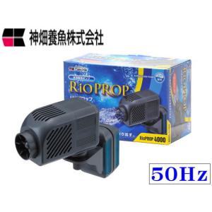 レッドシー ZOOX ファンタスティックウェーブ ZX8000 水流ポンプ DC