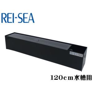 レイシー 上部フィルター RF-120V P-425Vたて型ポンプセット レイシー 上部フィルター RF-120V P-425Vたて型ポンプセット