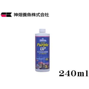 【レターパック発送】カミハタ カリブシー パープルアップ240ml　海水用添加剤 石灰藻 珊瑚 サン...