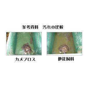 カメプロス 550g キョーリン カメのエサ ...の詳細画像1