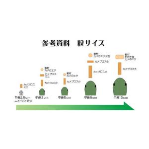 カメプロス 550g キョーリン カメのエサ ...の詳細画像2