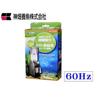 カミハタ Rio+3100 60Hz リオプラス 水中ポンプ 送料無料 管理60