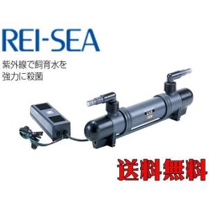 UVF-1000 UV殺菌灯 レイシー【メーカー直送商品】