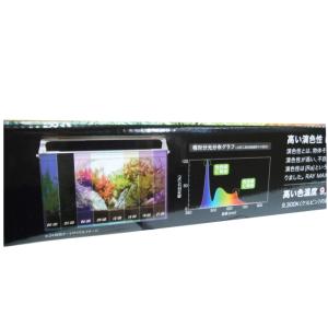 人気ショップのコトブキ レイマックス 900 ｒａｙｍａｘ Led照明 24時間自動調光 管理100 正規品販売高評価の