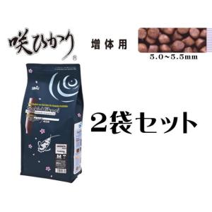 訳アリ 1袋限定 キョーリン 咲ひかり 朱雀 浮上 L 5kg 特級色揚 訳アリ 1袋限定 キョーリン 咲ひかり 朱雀 浮上 L 5kg 特級色揚