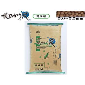 咲ひかりR 育成用 浮上 S 15kg キョーリン 錦鯉 2種類の酵母菌配合【お取り寄せ商品】