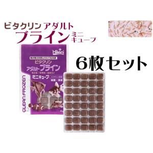 冷凍餌 キョーリン ビタクリン アダルト ブラインミニキューブ 45gx6枚セット　冷凍エサ 稚魚（...