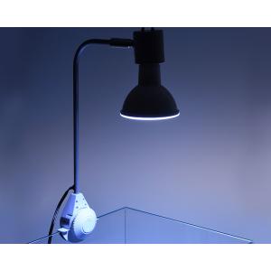 Rio COB LED シャローブルー 12W...の詳細画像3