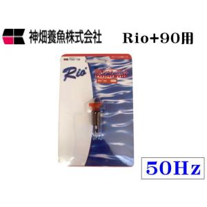 カミハタ Rio+3100 50Hz 交換インペラーユニット : アクアクラフト