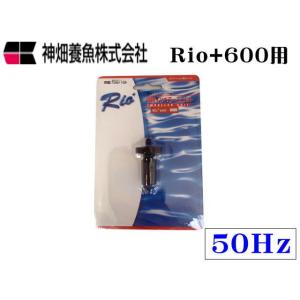 カミハタ Rio+3100 50Hz 交換インペラーユニット : アクアクラフト