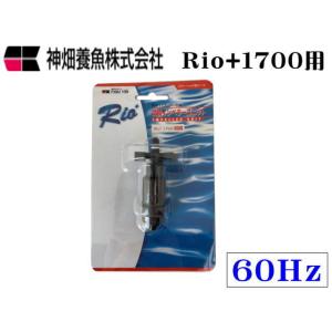 ZOOX ファンタスティックウェーブ ZX8000 ZOOX 水流ポンプ : アクア