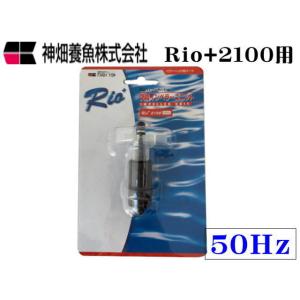 カミハタ Rio+3100 50Hz 交換インペラーユニット 送料無料 管理60