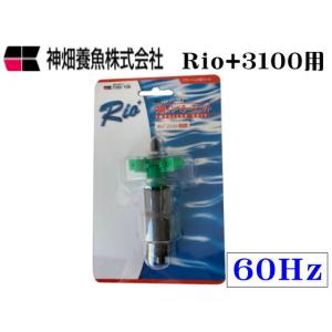 キョーリン ハイブロー C-8000ヒューズ+ エアーポンプ 振動防止マット