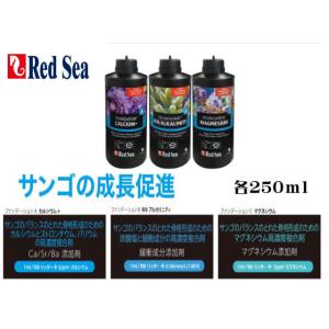 【未使用】CVE+　サンゴ用添加剤　定価2.8万円 リーフファンデーションAB レッドシー リーフエナジープラス AB+ 500ml サンゴフード コーラル