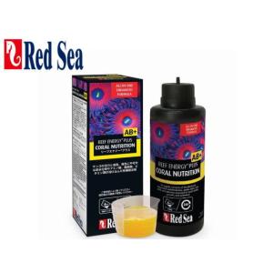 Red Sea ReefDose 4 自動添加システム　 ドージングポンプ Red Sea ReefDose 4 - Dosing Pump - Vivid Aquariums