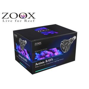 ZOOX SuperBlueRAYS 高品質スポットLED ソケットブラック付属 ZOOX 送料無料 zoox レイズ スーパーブルー SuperBlueRAYS 高