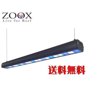 ZOOX ラグーンシャイナー 60 レクタングル サンゴ LED照明 管理
