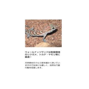 ウォールナッツサンド 3kg 4袋セット ビバ...の詳細画像3
