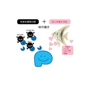 PSB 1L 3本セット サンミューズ バクテ...の詳細画像2